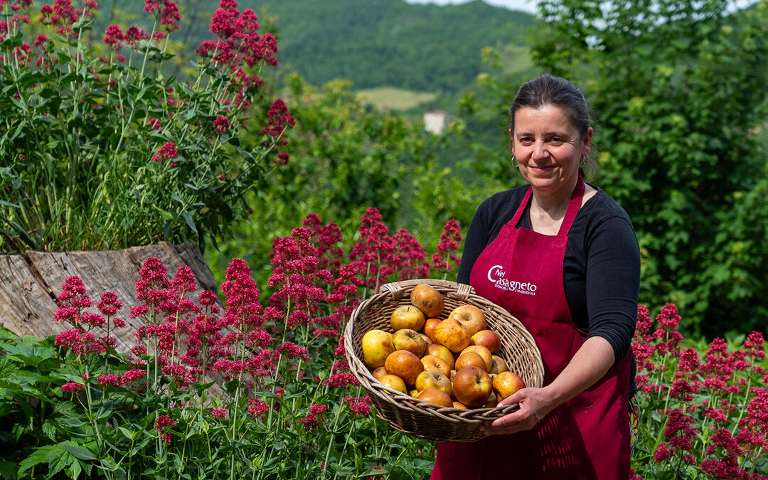 La Cena che Nutre: una serata speciale tra Appennino e Antoniano