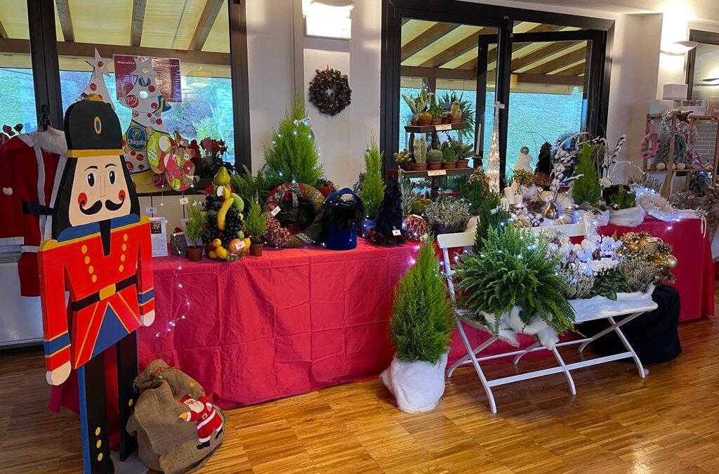 Il Mercatino di Natale di Antoniano