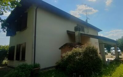 Alla ricerca di tutor per Budrio